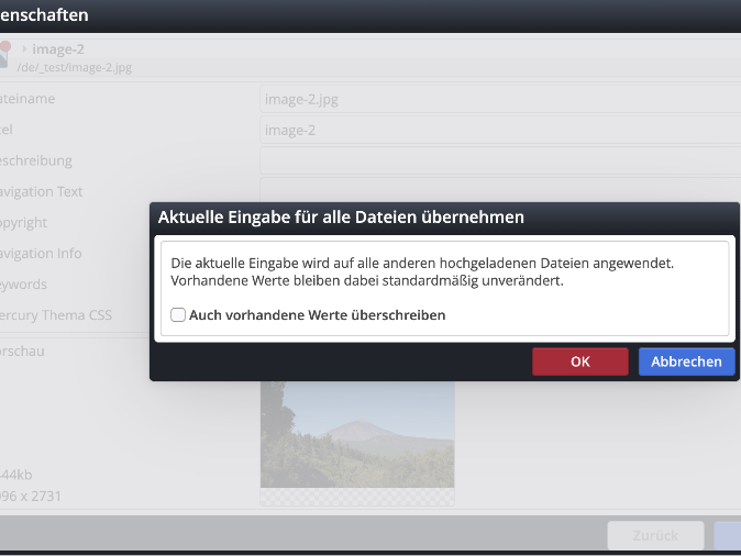 Eigenschaften beim Upload gleichzeitig setzen